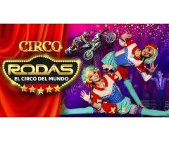 Circo Rodas